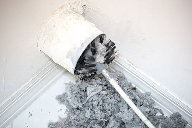 Air Duct Mold Removal in Hayfield, VA